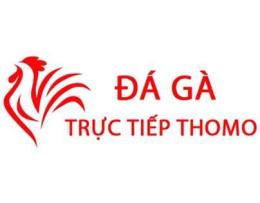 giao diện app da ga thomo 2022