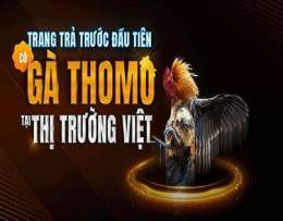 giao diện app đá gà thomo alo 789 đá gà thomo