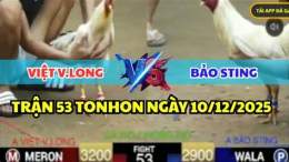 giao diện app đá gà thomo bảo sting chồng độ 4 cái