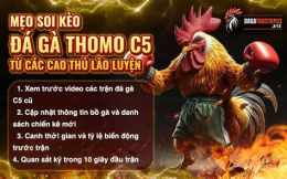 giao diện app da ga thomo c5 trận 21