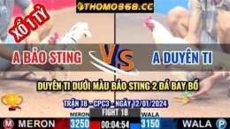 giao diện app đá gà thomo hoàng phi hải vs bảo sting