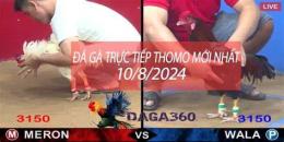 giao diện app đá gà thomo ngày 10 tháng 03