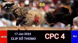 giao diện app đá gà thomo ngày 17