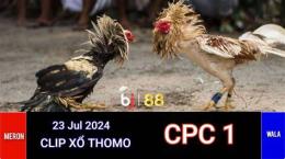 giao diện app đá gà thomo ngày 23