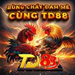 giao diện app đá gà thomo ngày 25/7