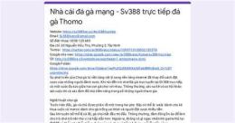 giao diện app đá gà thomo trực tiếp trên mạng