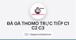 giao diện app đá gà thomo trường c3
