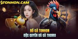 giao diện app đá gà tonhon 27/8