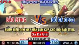 giao diện app đá gà trận 15 c3