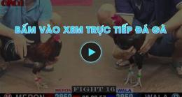 giao diện app da ga truc tiep 10 4