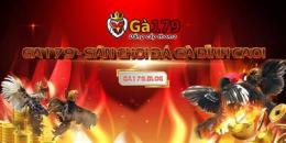 giao diện app đá gà trực tiếp 17/9