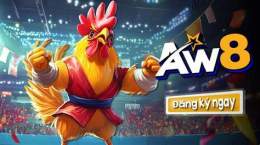 giao diện app đá gà trực tiếp 24/12/2022