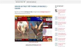 giao diện app da ga truc tiep -4-9-20