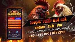 giao diện app đá gà trực tiếp 88.com