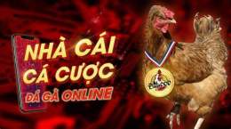 giao diện app đá gà trực tiếp c1 campuchia hôm nay