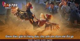 giao diện app đá gà trực tiếp c2 hom nay