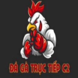 giao diện app đá gà trực tiếp c2 nhanh nhất từ thomo