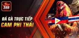 giao diện app đa gà trực tiep c2