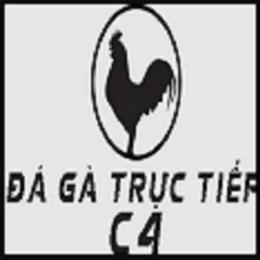 giao diện app đá gà trực tiếp c4 bình luận viên