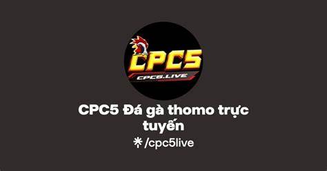 giao diện app đá gà trực tiếp cp5