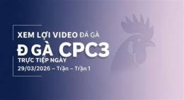 giao diện app đá gà trực tiếp cpc3 29 9