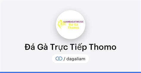 giao diện app đá gà trực tiếp cửa giao thomo