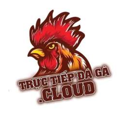 giao diện app đá gà trực tiếp hôm nay cpc1
