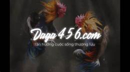 giao diện app đá gà trực tiếp thomo 1 2 3 4 5