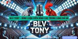 giao diện app đá gà trực tiếp thomo binh luan vien