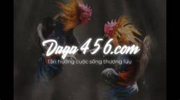 giao diện app đá gà trực tiếp thomo con gà đen chấm com