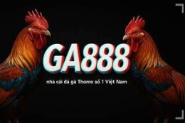 giao diện app đá gà trực tiếp thomo ngày 30