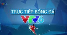 giao diện app đá gà trực tiếp trên vtv6