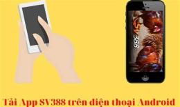 giao diện app đá gà trực tiếp xe tải