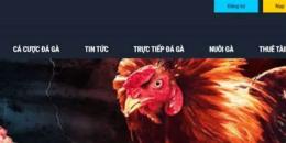 giao diện app đá gà trực tiếp.casino