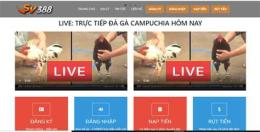 giao diện app đá gà trực tuyến 1