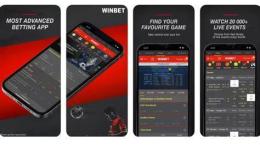 giao diện app đá gà winbet