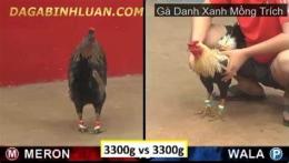 giao diện app da ga xanh mong trich