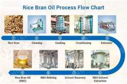 giao diện app dầu gạo rice bran oil