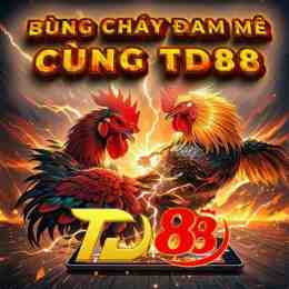 giao diện app f88 đá gà thomo