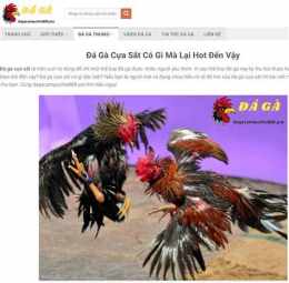 giao diện app gà đá cựa sắt ở campuchia