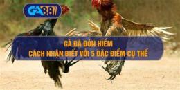 giao diện app ga da don hiem