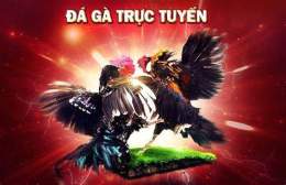 giao diện app gà đá trực tiếp philippines