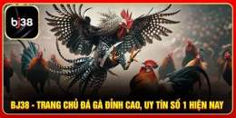 giao diện app gà đá trực tiếp thôm