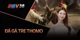 giao diện app ga don da ga tre thomo