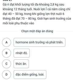giao diện app gà ri đạt khối lượng tối đa khoảng 2 8kg