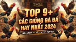 giao diện app giong ga da hay nhat 7789bet.top