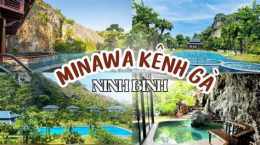 giao diện app kênh gà ninh bình đã mở cửa chưa
