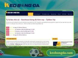 giao diện app kèo bóng đá, đua ngựa, đá gà sóc đĩa