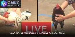 giao diện app live đá gà 68