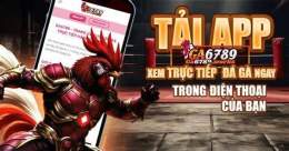 giao diện app mẹo đá gà thomo